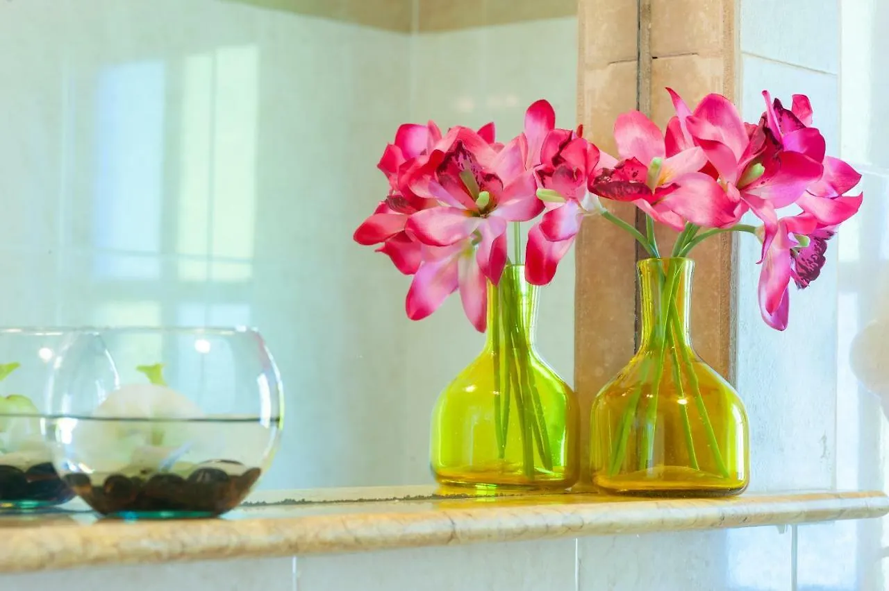 شقة Righetto Vacation Rentals بويرتو موريلوس